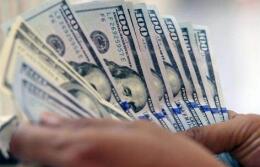 ��Ԫָ��4������0.1%